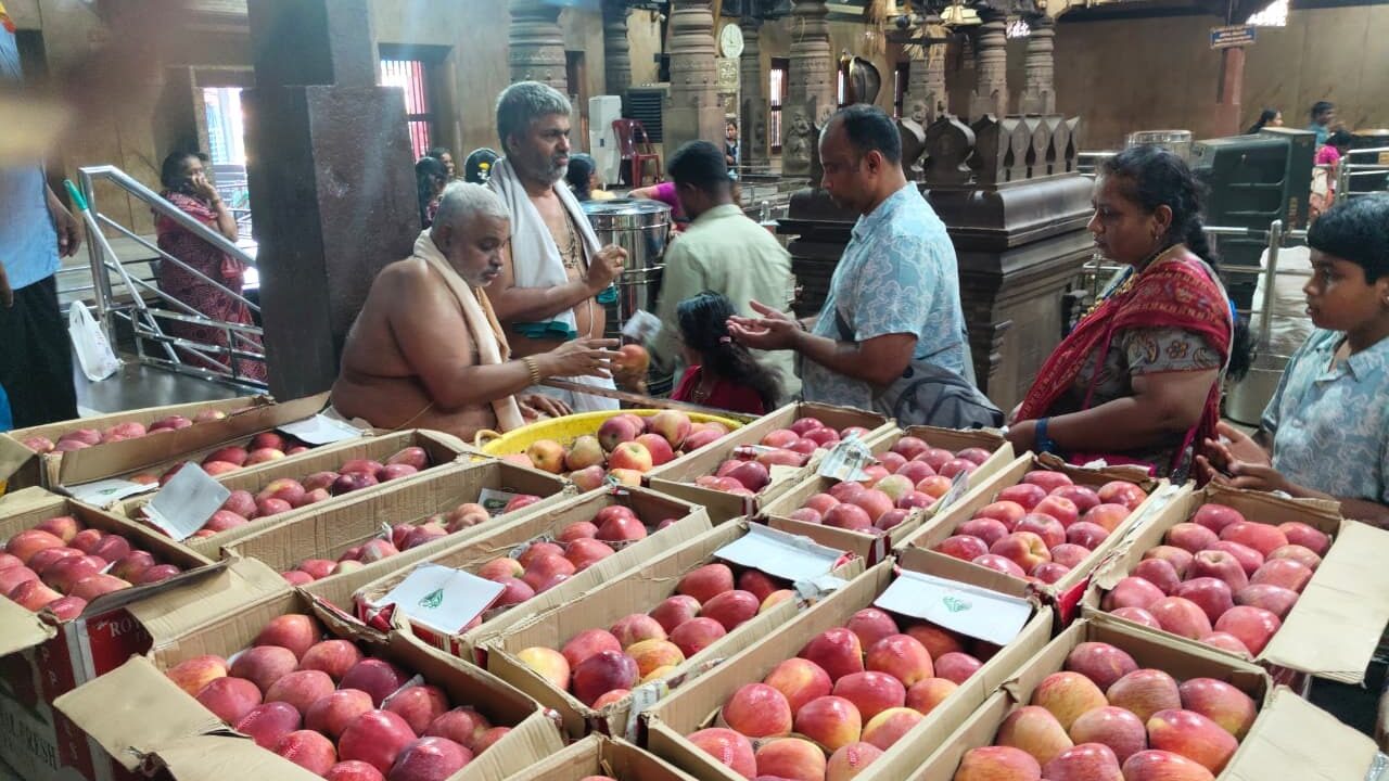 ಕಟೀಲ್ ದೇಲಂತಡೆಡ್ ಭಕ್ತೆರೆಗ್ ಆ್ಯಪಲ್ ಪಟ್ಟಿಯೆರ್